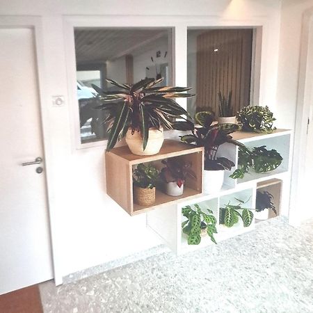Moderne F3 - 10 Min Aeroport Cdg - Paris - Parc Asterix - Disneyland Paris - Tour Eiffel - Champs Elysee - 15 Min Parc Des Expositions Villepinte - 10 Min Le Bourget - 5 Min Du Golf International De Roissy- Jo 2024 Le Thillay Luaran gambar